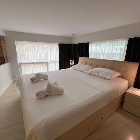 Apartment Downtown Dream Duplex *